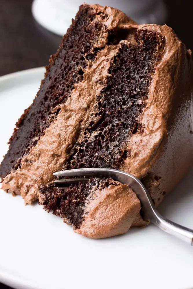 Vegan Chocolate Cake - Rich and decadent vegan chocolate cake at Paratha 2 Pizza Calgary